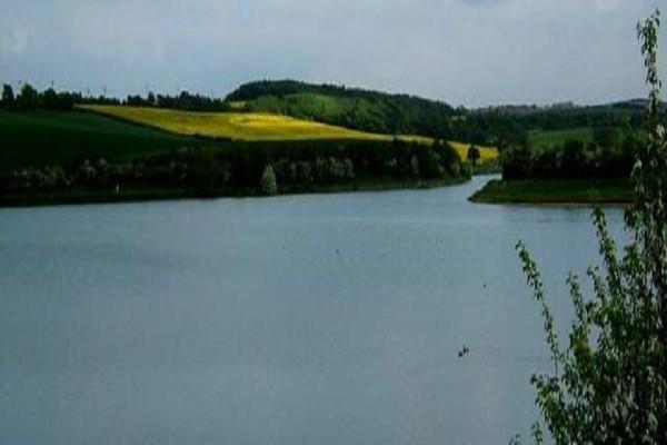 Picture of Thrybergh Country Park